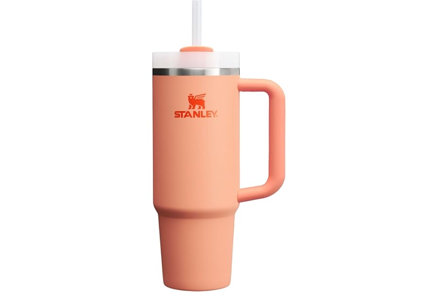 STANLEY Quencher H2.0 Tumbler with Handle and Straw 30 oz | Flowstate 3-Position Lid | Cup Holder Compatible for Travel | Insulated Stainless Steel Cup | BPA-Free | Nectarine