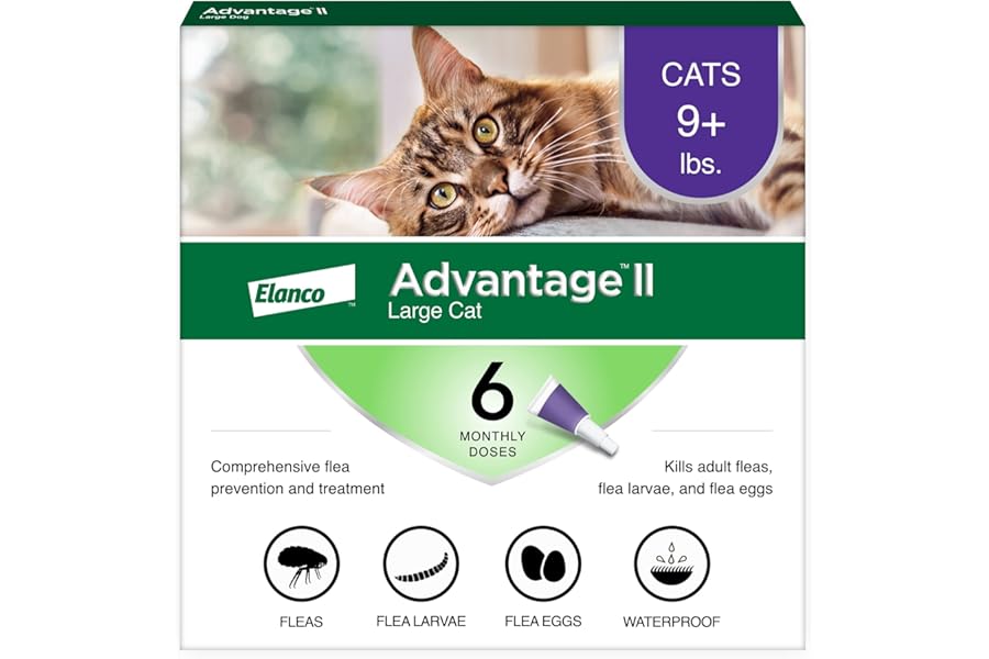 Advantage II Large Cat Vet-Recommended Flea Treatment & Prevention | Cats Over 9 lbs. | 6-Month Supply