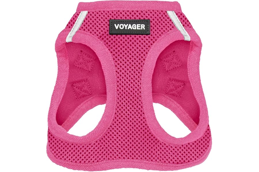 Best Pet Supplies Voyager Step-in Air Harness - All Weather Mesh, Reflective, No Pull Harness for Dogs, Cats - Secure with Hook & Loop Fastener, Buckle, Double D-Rings - Fuchsia, S