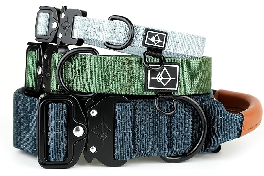 Made to ROAM Premium Dog Collar - Adjustable Heavy Duty Nylon Collar with Quick-Release Metal Buckle (Florida Seaside, Classic Size 3)