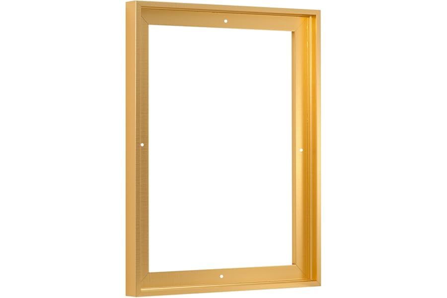 Pixy Canvas Floater Frame 16x20 for 3/4 (0.75) inch Deep Canvas Paintings/Canvas Prints/Wood Canvas Panels/Wall Art/Wall Decor/Home Decor/Artwork (Brass Gold, 16 x 20 inch, Portrait)