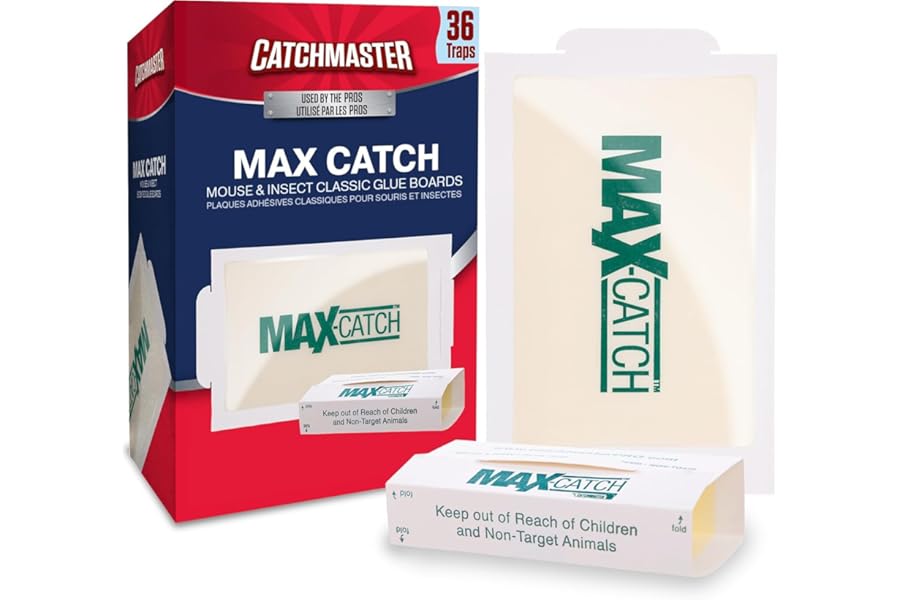 Catchmaster Max-Catch Mouse & Insect Glue Trap 36pk, Mouse Traps Indoor for Home, Sticky Pest Control Adhesive Tray for Catching Bugs, Bulk Classic Glue Boards