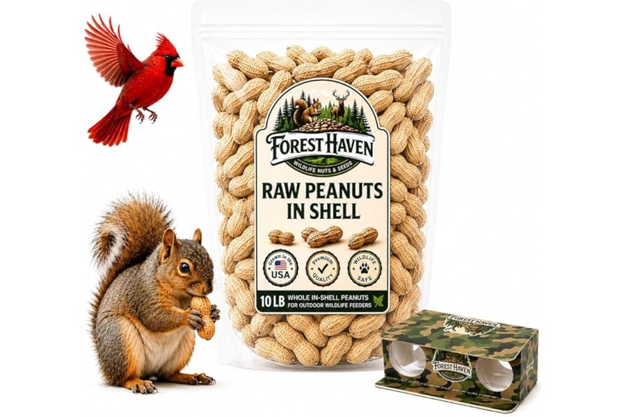 Forest Haven Premium Raw Peanuts for Squirrels – 10LB Bulk Squirrel Food – Unsalted Peanuts in Shell for Birds, Deer & Wildlife – Bonus Binoculars Included - USA Grown