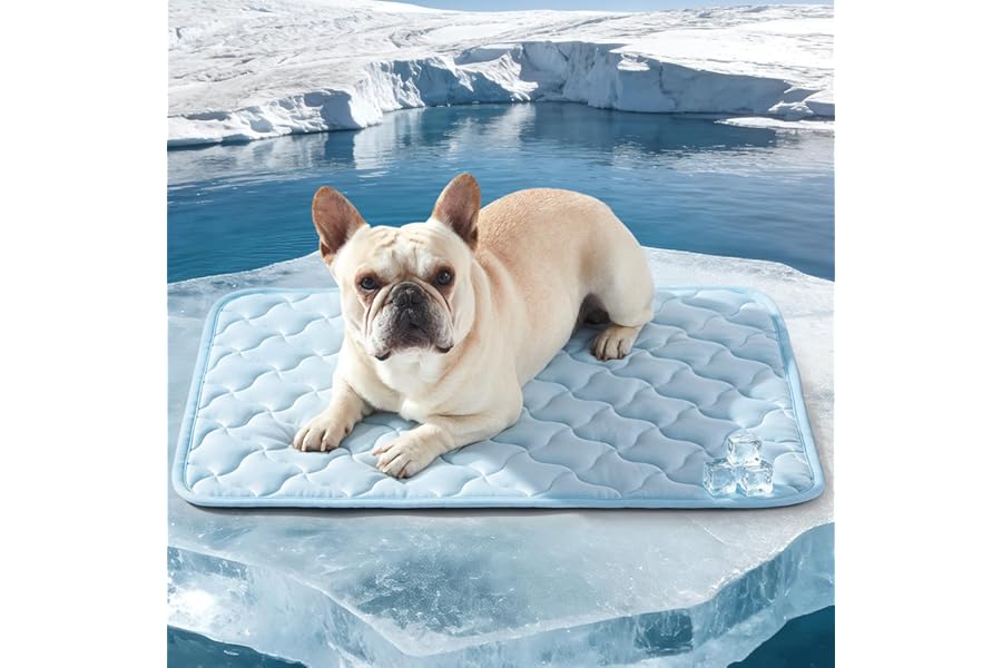 GASUR Cooling Mat for Dogs, Q-Max>0.5 Instant Temp Drop Dog Cooling Mats for Medium Dogs&Cats, Cooling Pad for Dog - Indoor O