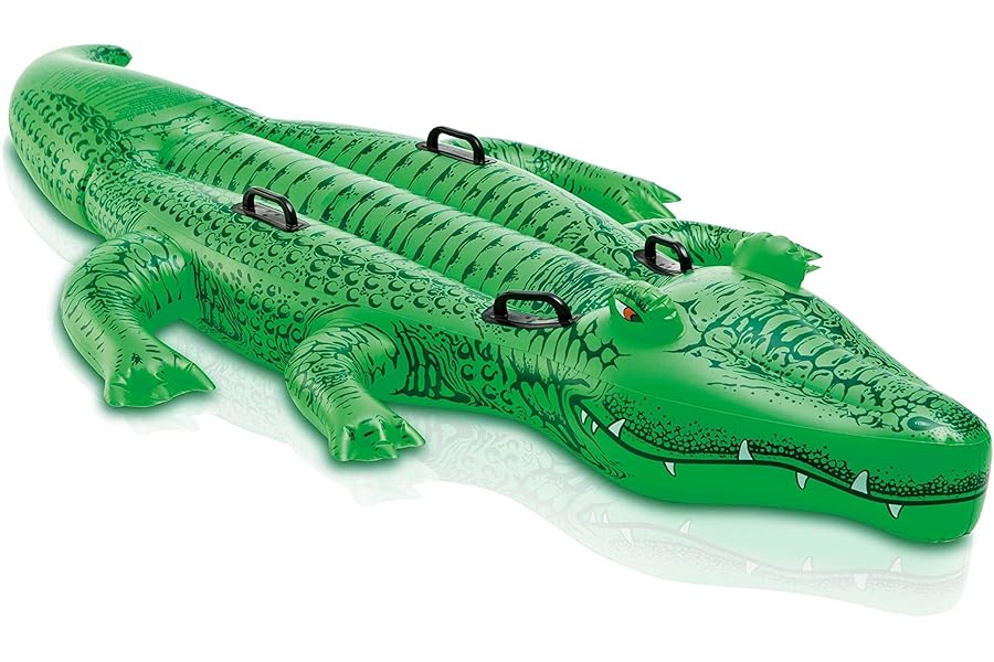 INTEX Inflatable Pool Float: Pool Toy for Kids