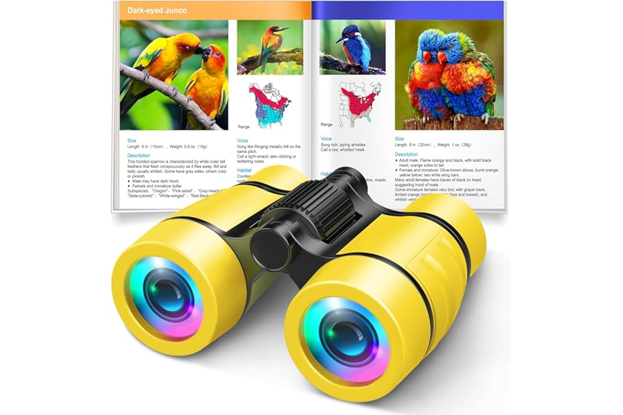 Toys for 3-7 Year Old Girl Boy: LET'S GO! Bird Watching Binoculars for Kids Ages 3 4 5 6 7 Year Old Girls Boys Outside Learni