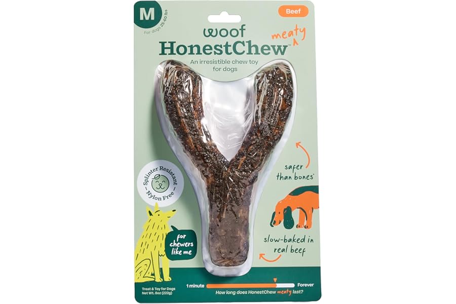 WOOF HonestChew Meaty Dog Toy Y-Gnawt - Durable Dog Chews - Made with Real Beef and Natural, Plant-Based Ingredients - Splinter-Resistant - Safer Than Dog Bones - Medium
