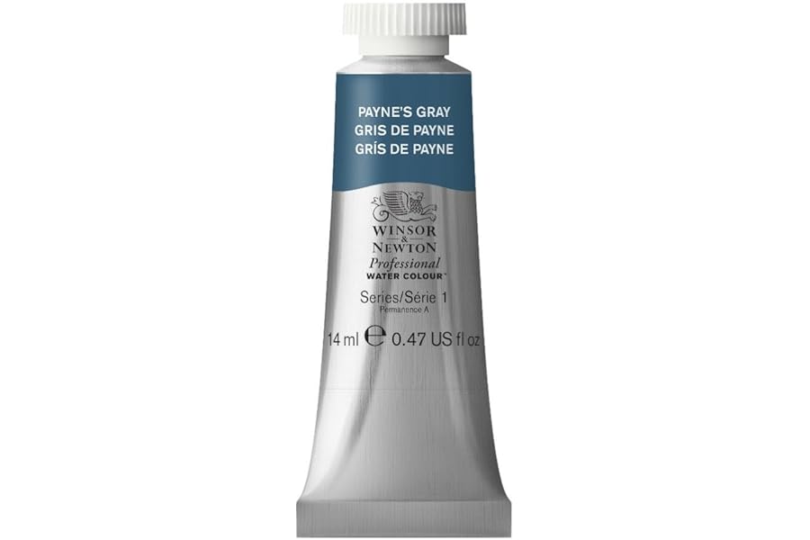 Winsor & Newton Professional Watercolor, 14ml (0.47-oz) Tube, Payne's Gray