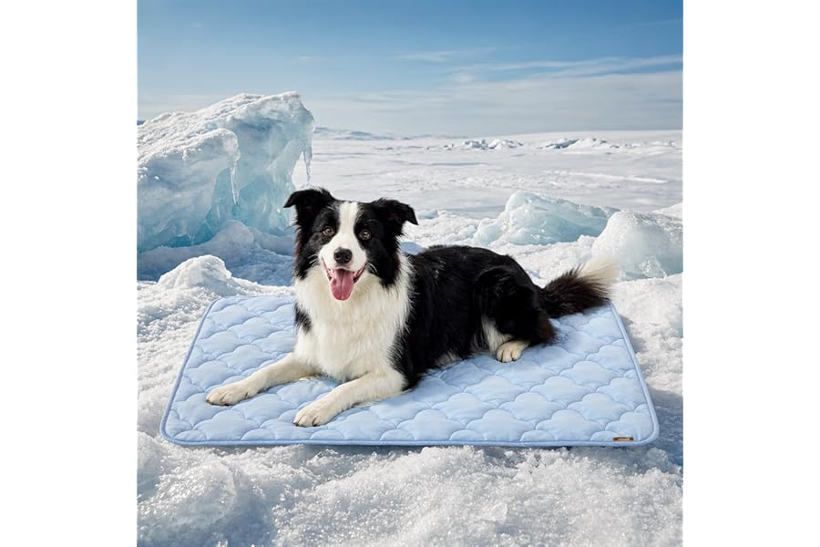 ZOMISIA Dog Cooling Mat for Extra Large Dogs, Q-Max>0.5 Thin Breathable Crate Pad for Pet, Portable Washable Kennel Pad for Summer Outdoor, 41x27, Blue