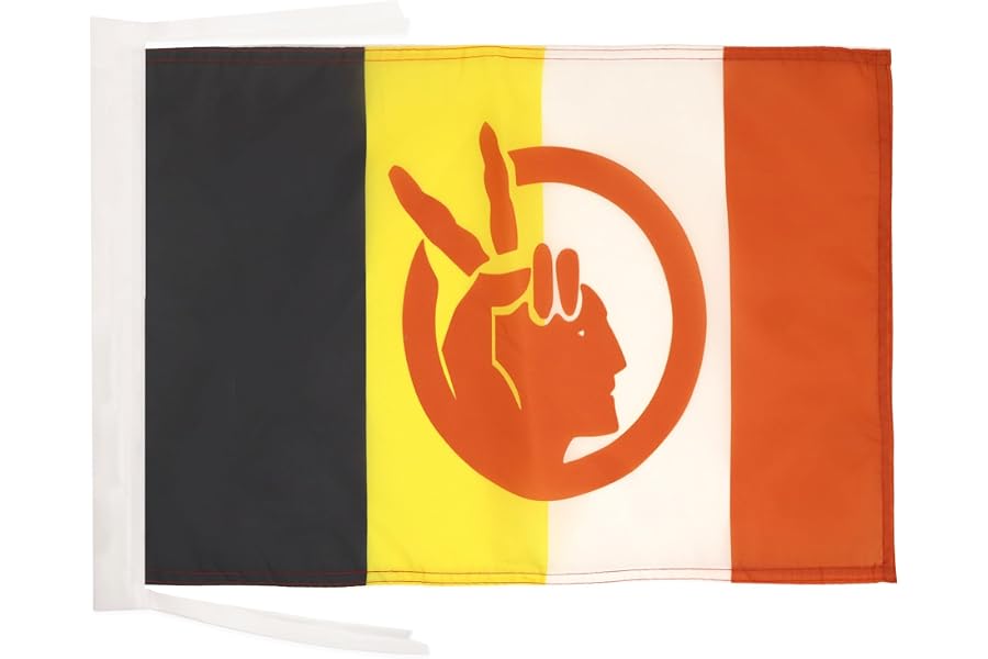 AZ FLAG American Indian Movement Flag 12x18 in 100D Polyester Cords | Indoor and outdoor use Native American tribe 45x30 cm decorative flag double stitched seams and reinforced edges with ties