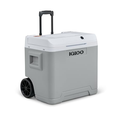 Igloo IE42 AC/DC Glacière électrique avec poignée télescopique et roulettes pour voiture et prise de courant, mini-réfrigérateur 42 L, 12V et 230V, gris.
