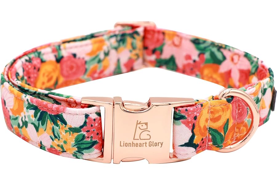 Lionheart glory Premium Floral Dog Collars Spring Dog Collar, Adjustable Heavy Duty Girl Collar for Small Dogs