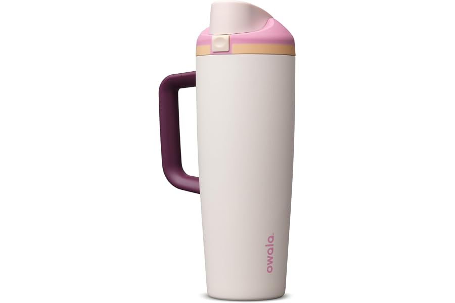 Owala FreeSip Tumbler Insulated Stainless Steel Water Bottle with Built-in Straw and Side Handle, For Travel, Work, School, and Sports, 30oz, BPA Free, Leak Proof, Daybreak