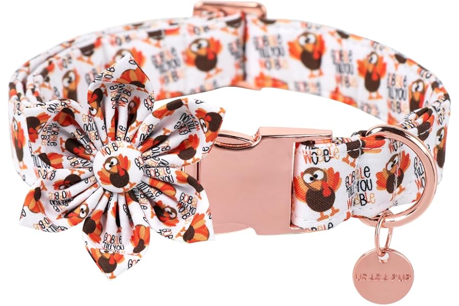 UP URARA PUP Thanksgiving Dog Collar with Flower, Turkey Cotton Flower Collar for Puppy Girl Dog or Cat, Autumn Flower Collar with Durable Metal Buckle, Thanksgiving Pet Collar, L, Neck 16-24in