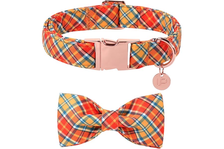UP URARA PUP Autumn Plaid Dog Collar and Bow Tie Set – Orange Yellow Checkered Adjustable Fall Collar with Maple Leaf Charm for Small Medium Large Dogs, Soft Cotton Pet Collars with Buckle and D-Ring