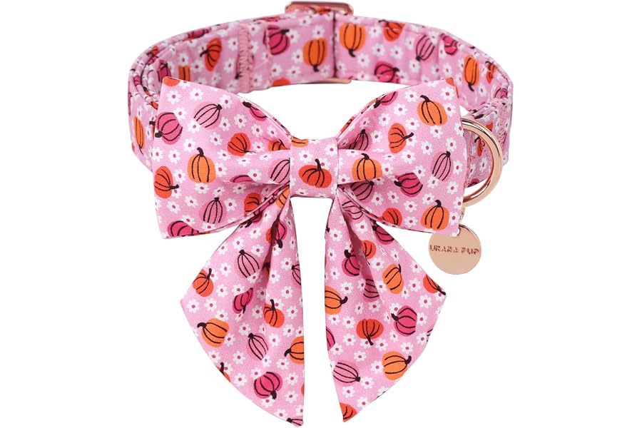UP URARA PUP Halloween Pumpkin Dog Collar with Bow Tie, Pink Halloween Puppy Bowtie Collar with Adjustable Metal Buckle,Fancy Dog Collar Bowtie for Girl Boy Dog,M