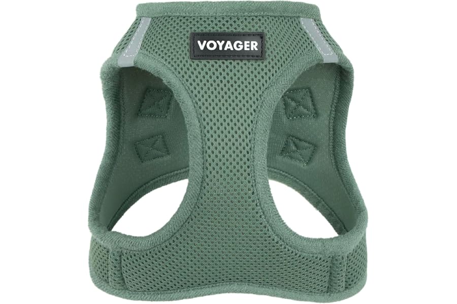 Voyager Step-in Air Dog Vest Harness - Moss Green, Small | 14.5-16" in Chest, Reflective Bands, All Weather Breathable Air Mesh, Cats Compatible, Lightweight, Fast Drying