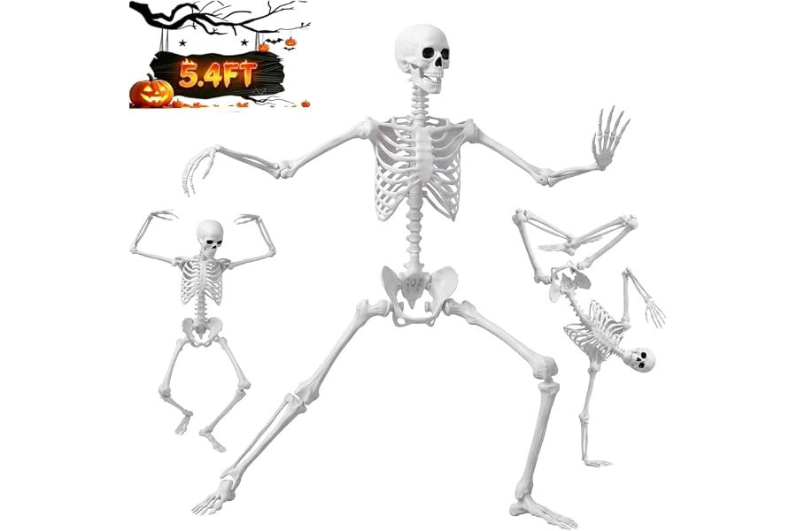 5.4FT/165cm Halloween Life Size Human Skeleton with Full Body Posable Joint | Full Size Giant Stand Skeleton, Plastic Human B