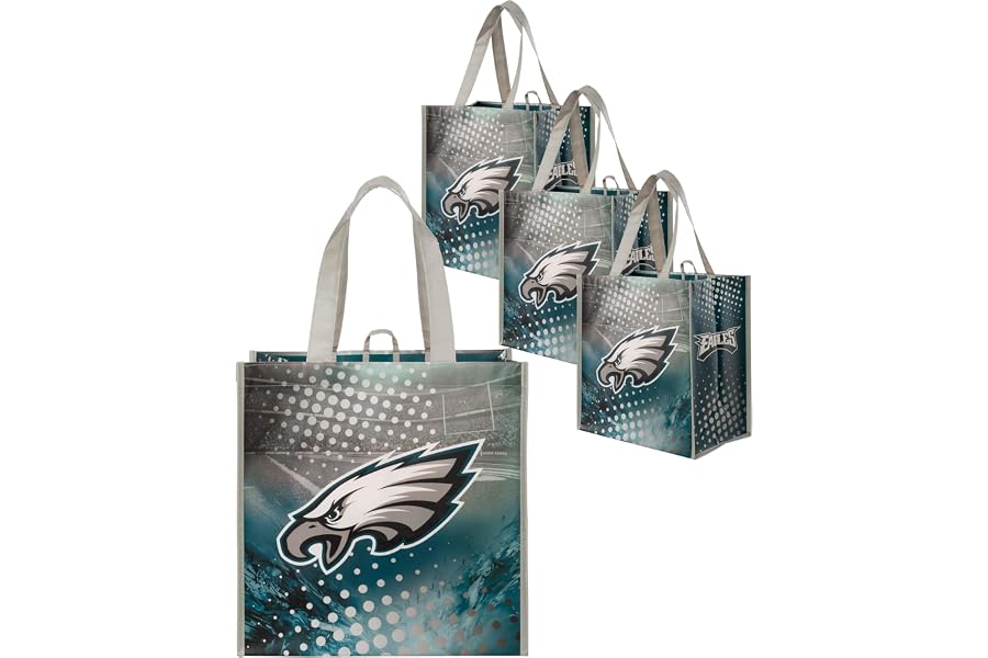 FOCO NFL unisex-adult Nfl Team Logo 4-pack Reusable Grocery Shopping Bags Totes