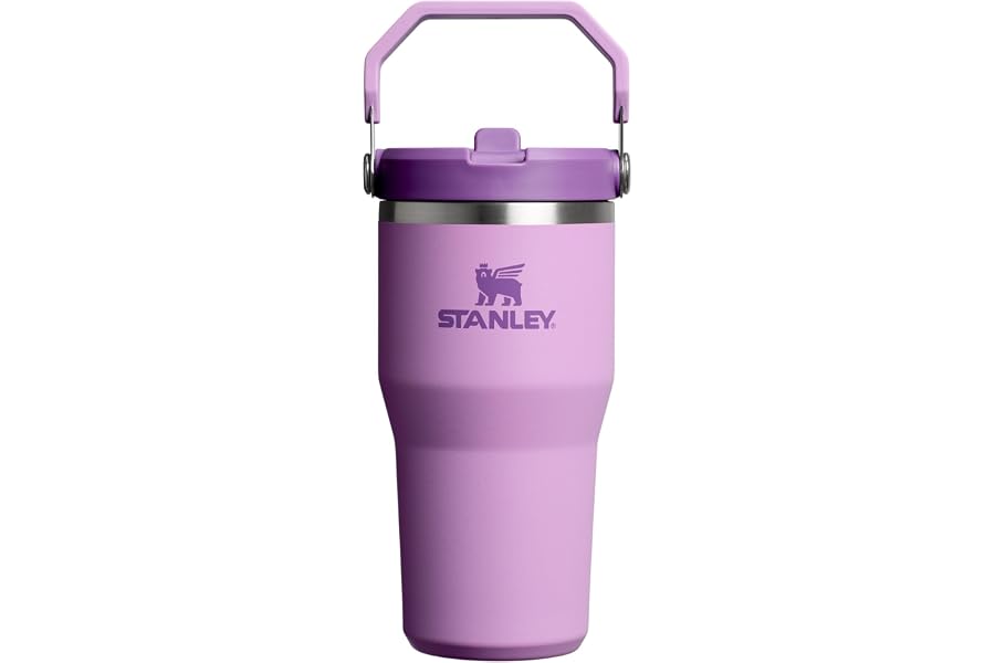 STANLEY IceFlow 2.0 Flip Straw Tumbler, 20 oz, Lilac | Easy Carry Handle | Twist On Lid and Flip Up Straw | Leak Resistant Water Bottle | Insulated Stainless Steel | BPA-Free