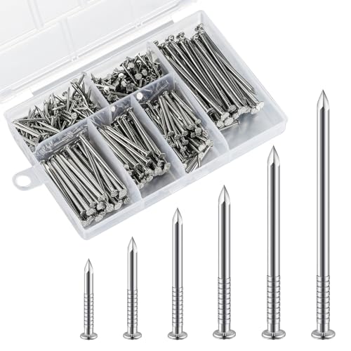 Wensilon 304 Stainless Steel assortment Nails Kit,nail for hanging pictures